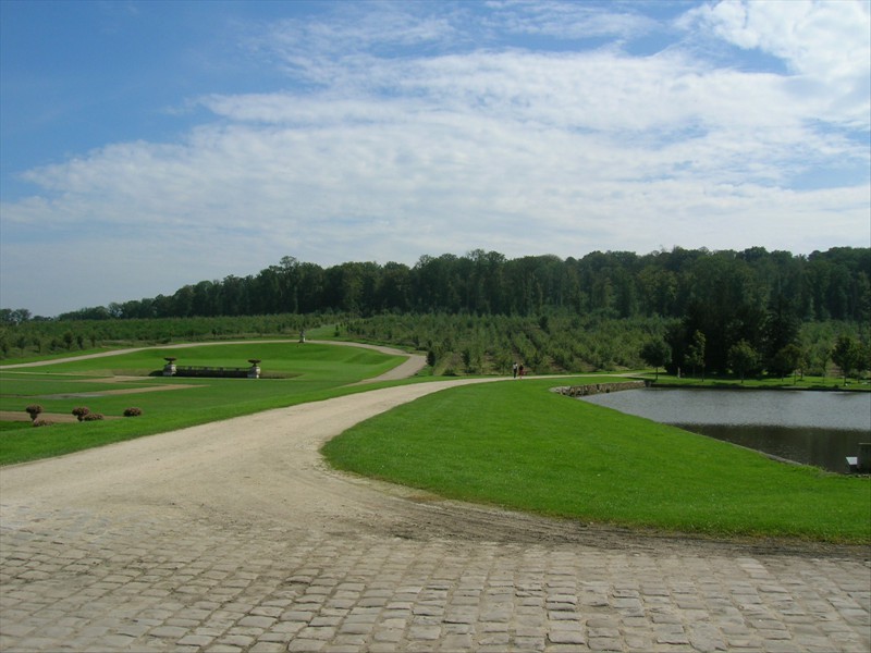 DSCN6433