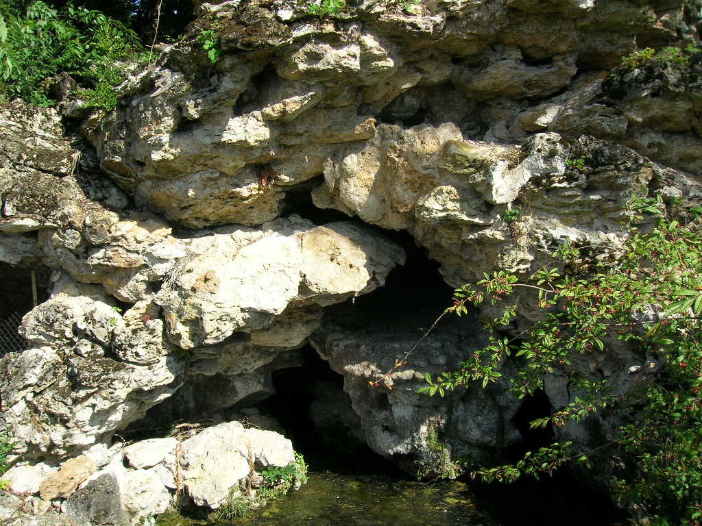 DSCN4820
