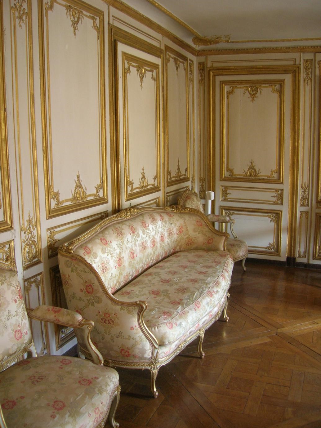 Appartamenti du Barry a Versailles (65)