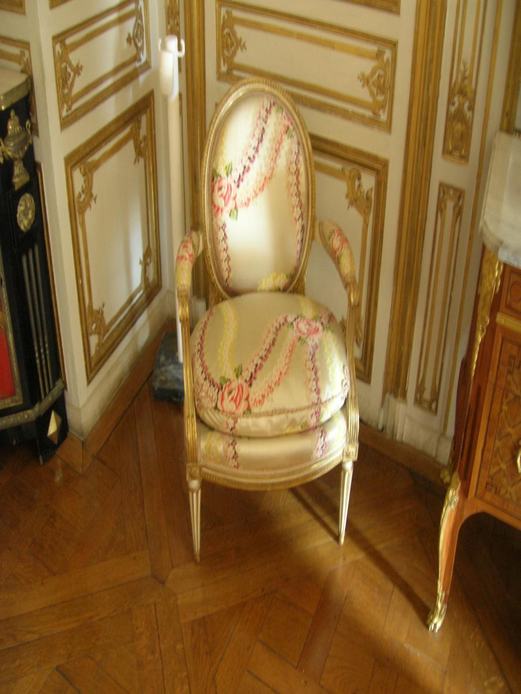 Appartamenti du Barry a Versailles (75)