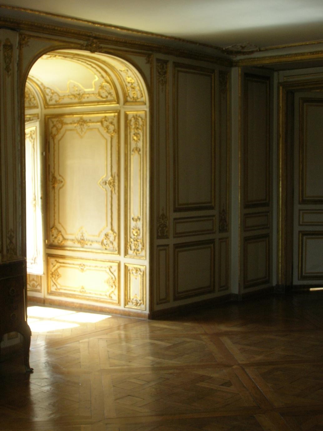 Appartamenti du Barry a Versailles (9)