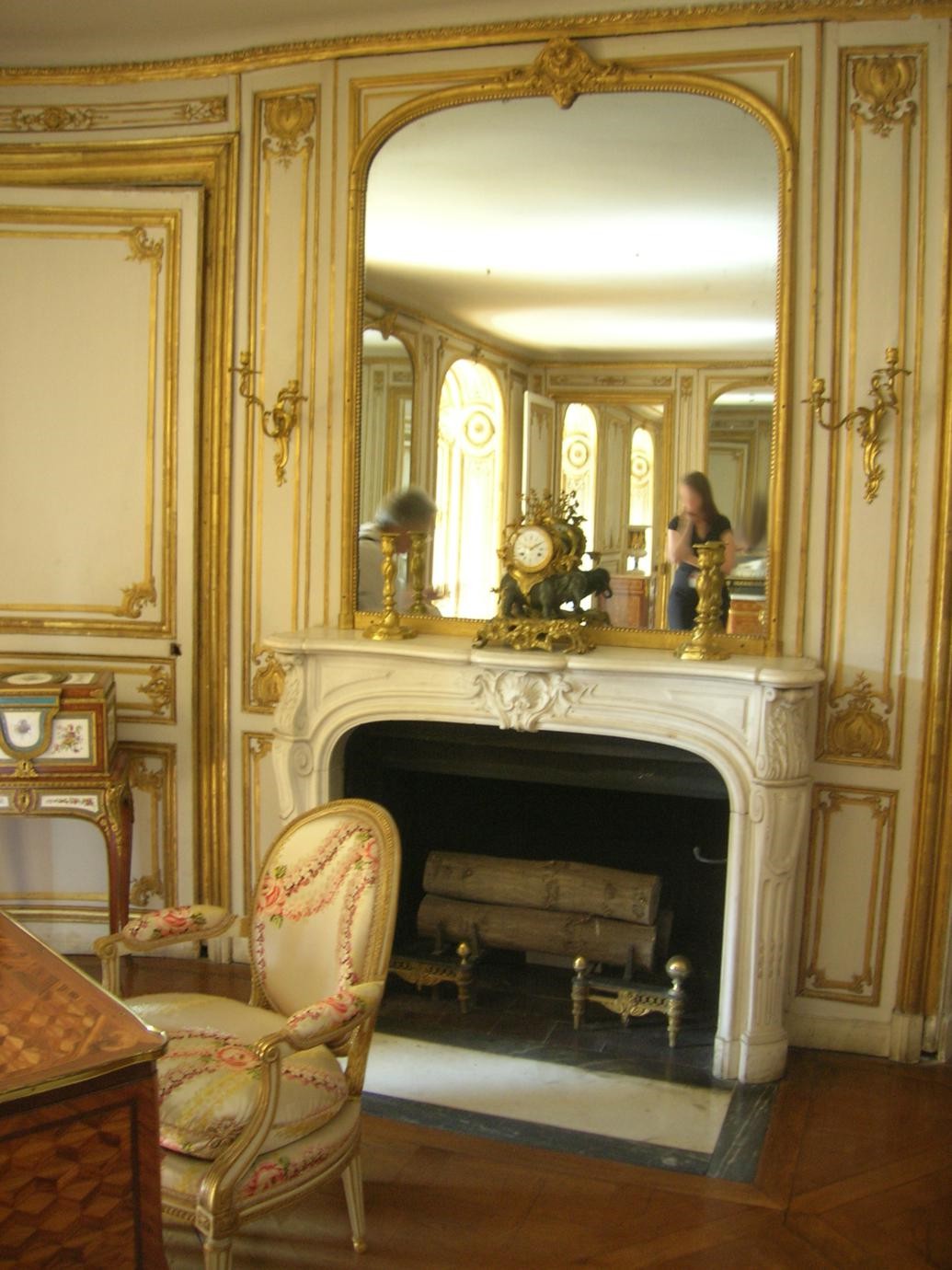 Appartamenti du Barry a Versailles (91)