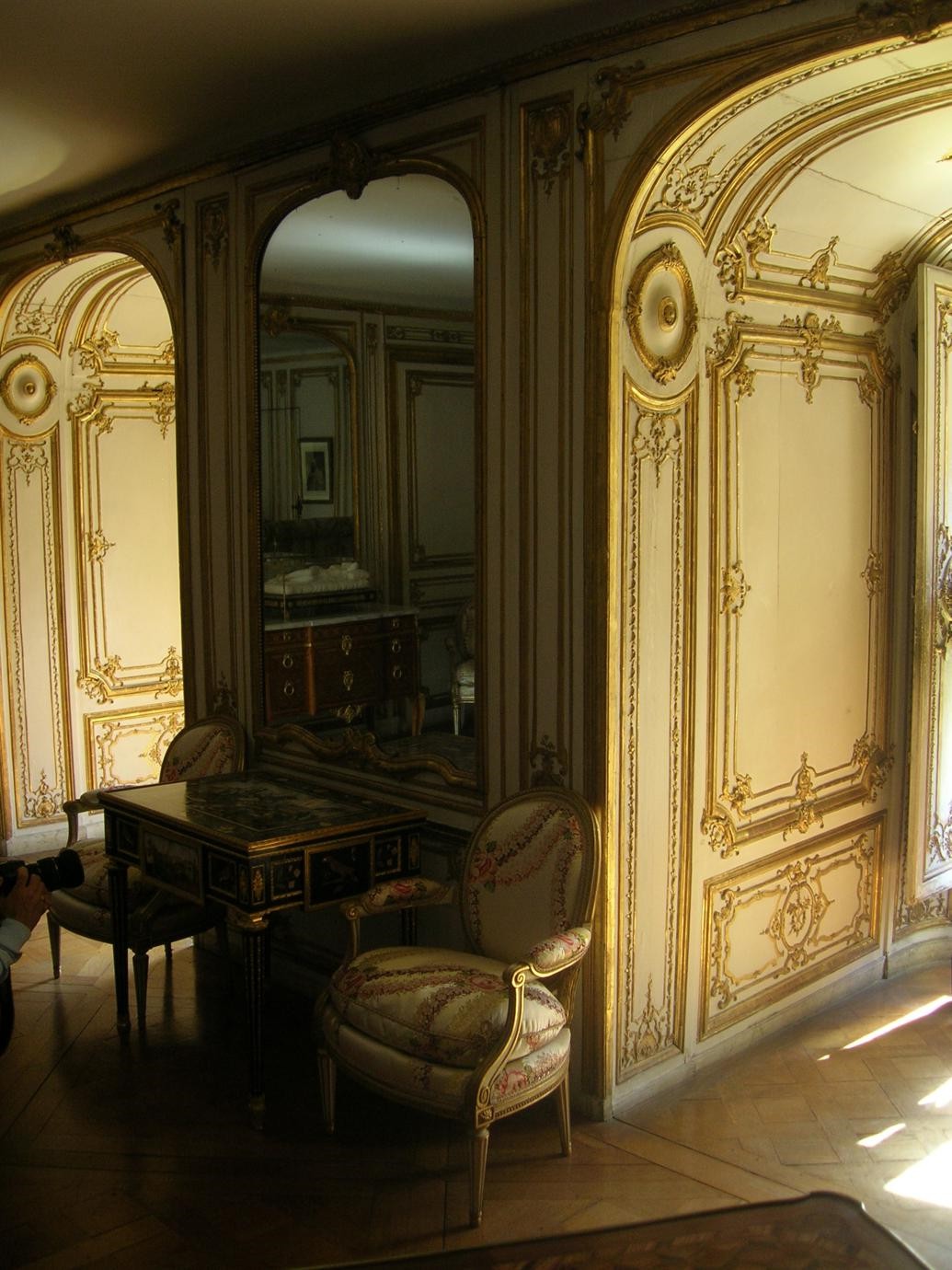 Appartamenti du Barry a Versailles (93)