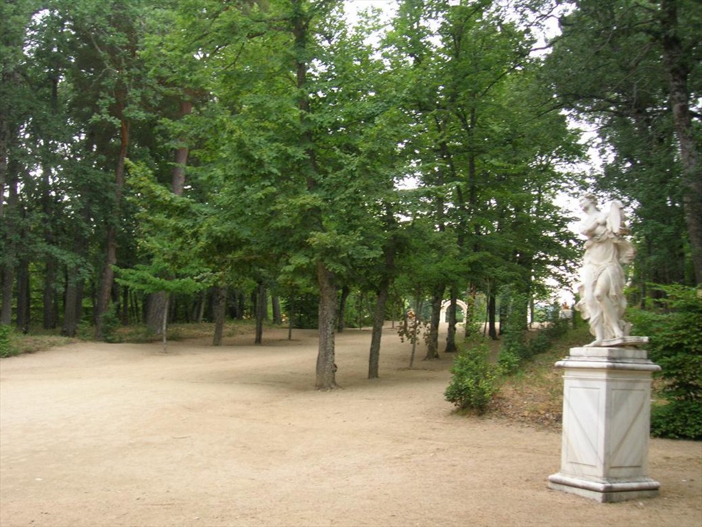 DSCN0282