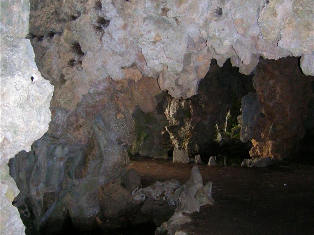 DSCN0396