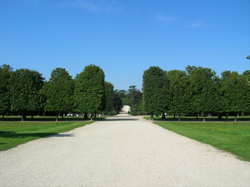 DSCN7184