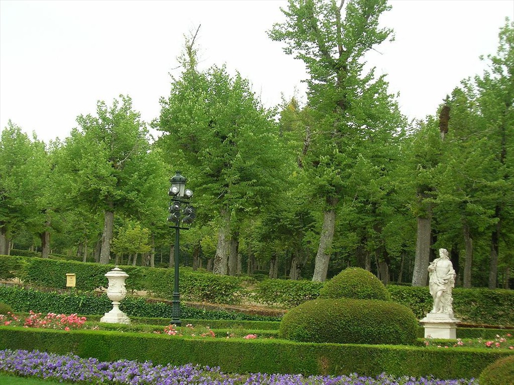 DSCN0355