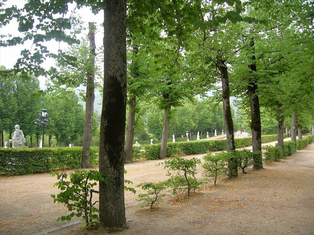 DSCN0360
