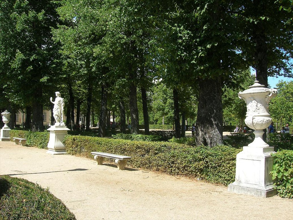 DSCN0543