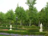 DSCN0355