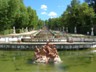 DSCN0538