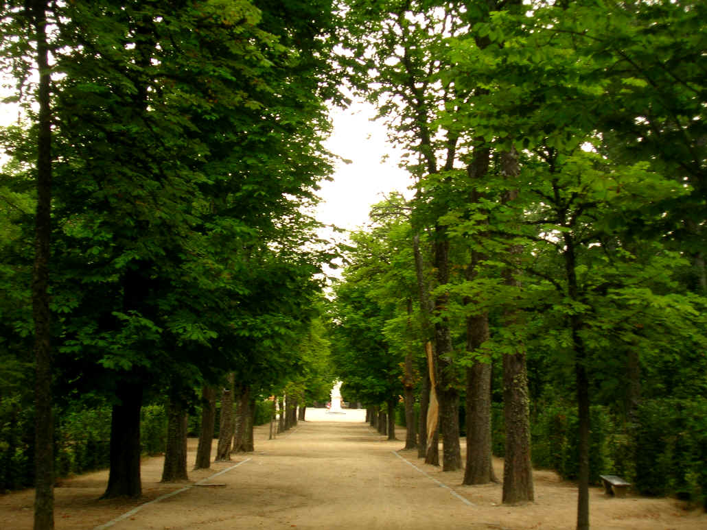 Tipico Viale dentro i Giardini di La Granja de San Ildefonso