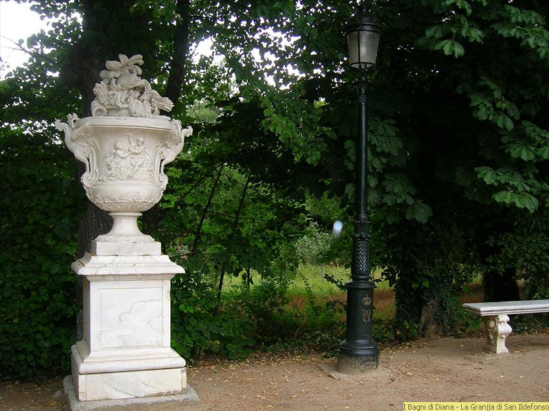 DSCN0311