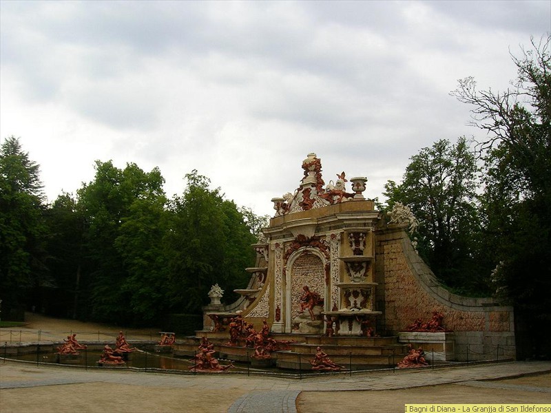 DSCN0313