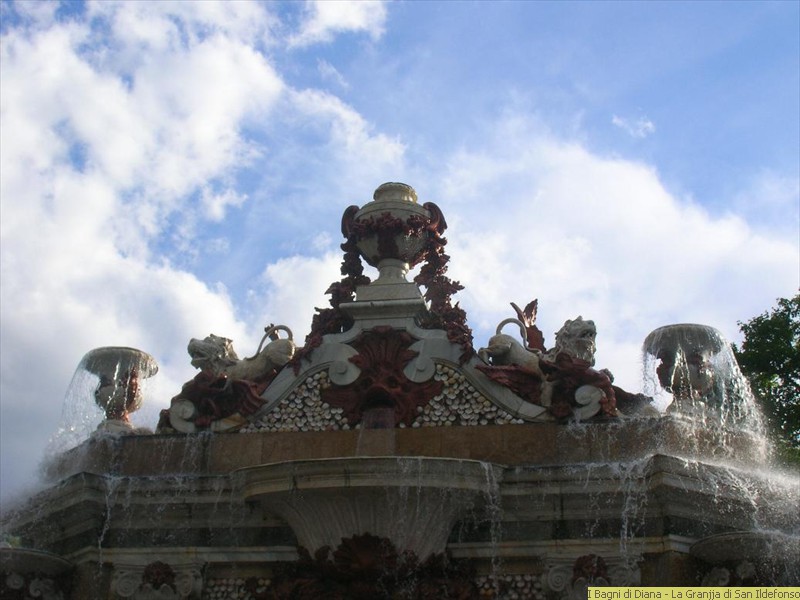 DSCN0719