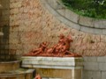DSCN0301