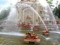 DSCN0709