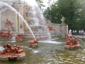 DSCN0710