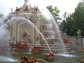DSCN0711