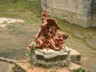 DSCN0430