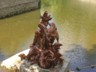 DSCN0563