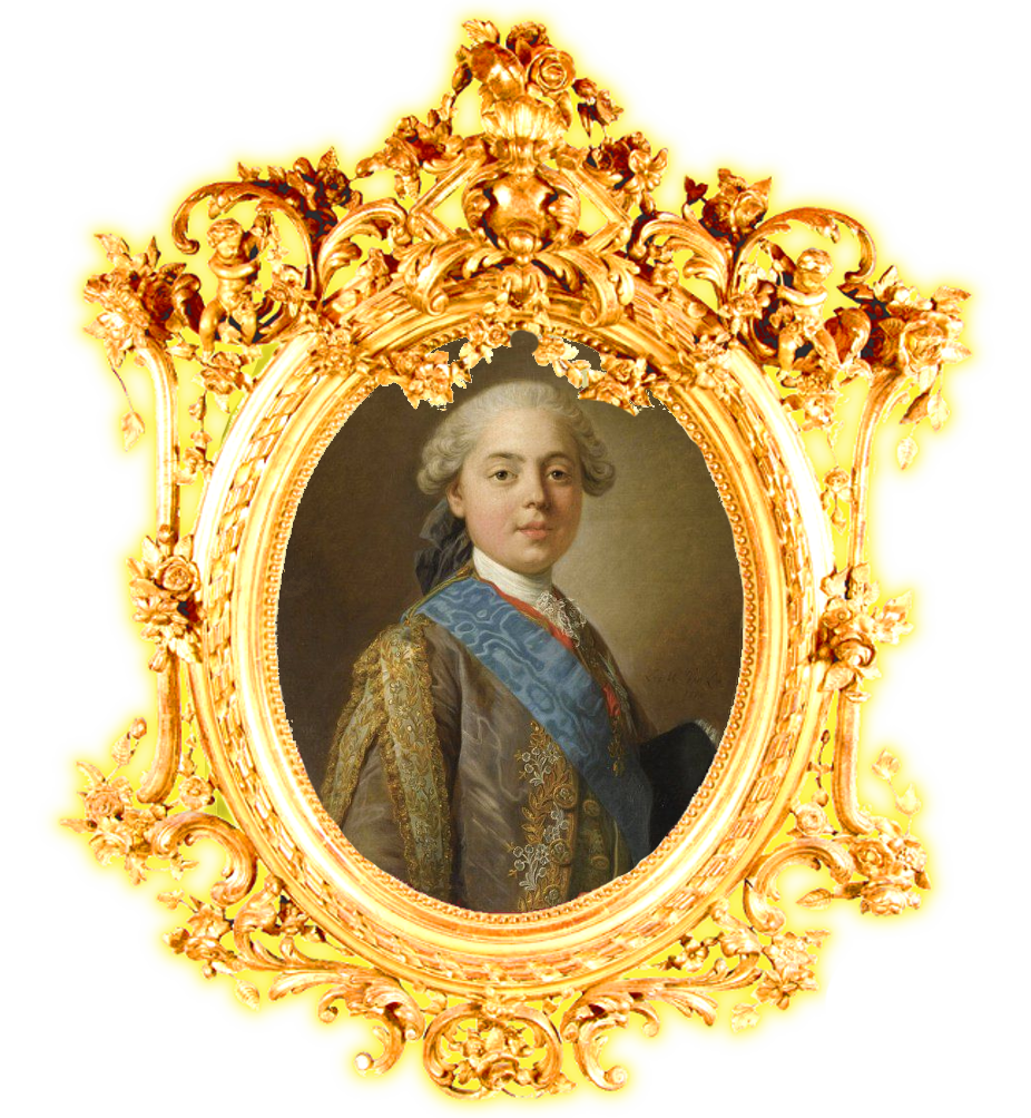 Louis Stanislas Xavier, Conte de Provence